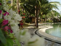 Blue Palm Resort's Pool Side
